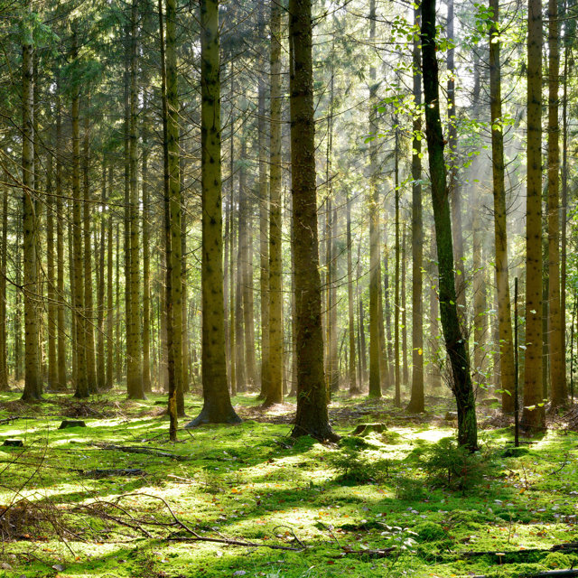 STRATÉGIA, ENVIRONMENTÁLNA POLITIKA A CIELE